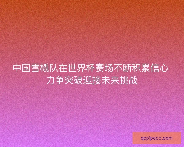 中国雪橇队在世界杯赛场不断积累信心 力争突破迎接未来挑战