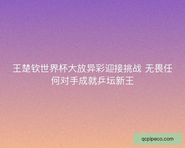 王楚钦世界杯大放异彩迎接挑战 无畏任何对手成就乒坛新王