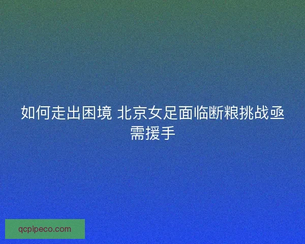 如何走出困境 北京女足面临断粮挑战亟需援手